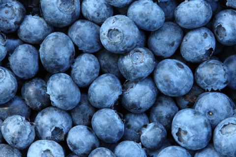 blueberries